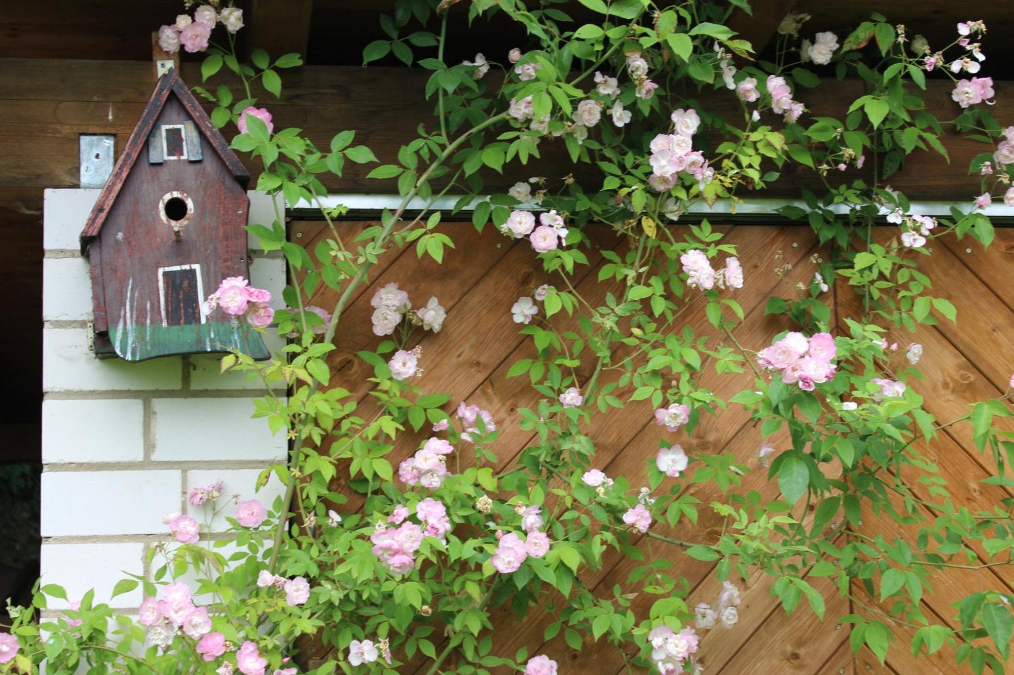 Ferienwohnung Landlust Neudrossenfeld 외부 사진